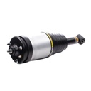 Air Suspension Strut