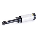 Air Suspension Strut