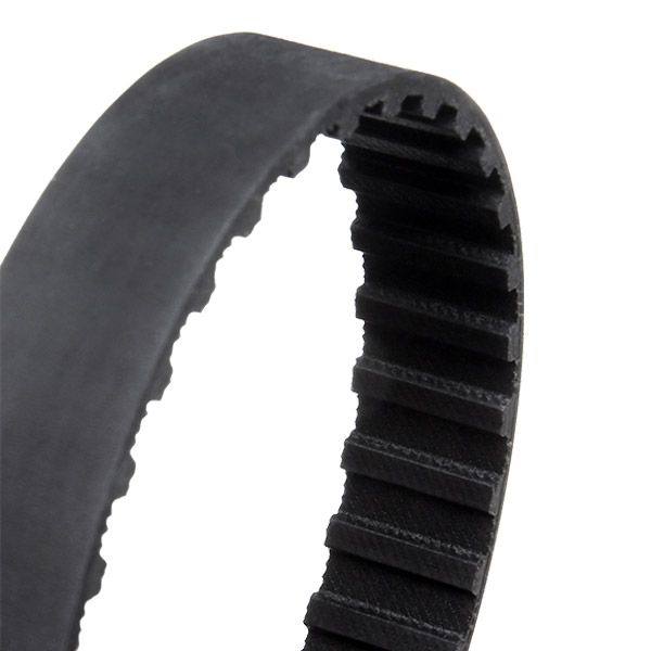 Timing Belt