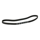 Timing Belt