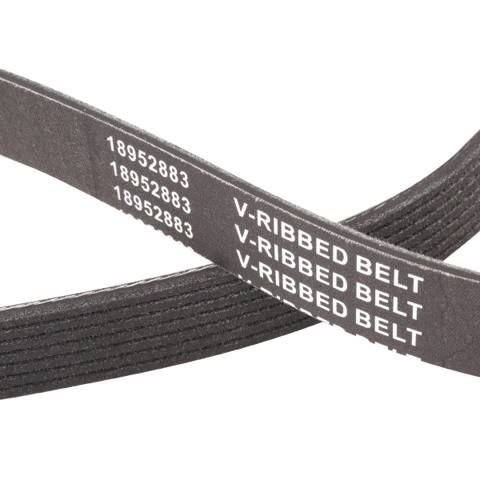 V-ribbed Belt