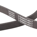 V-ribbed Belt