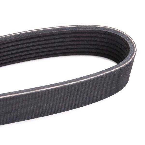 V-ribbed Belt