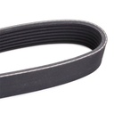 V-ribbed Belt