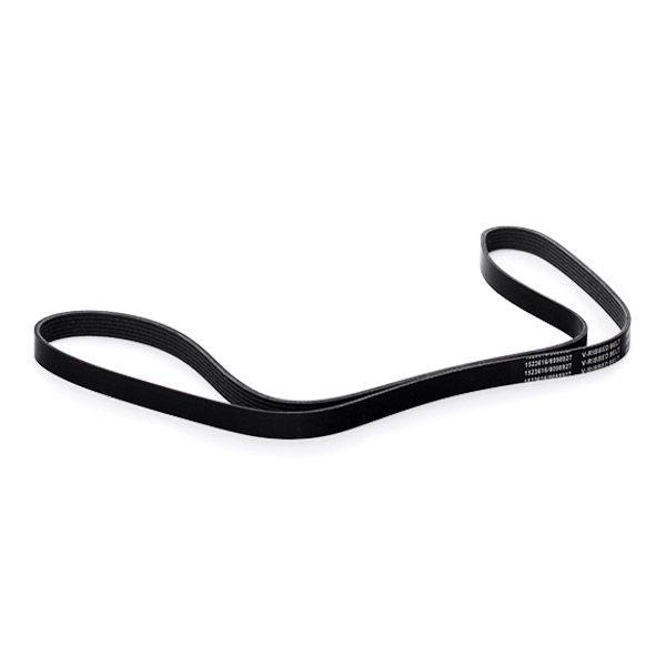 V-ribbed Belt