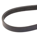 V-ribbed Belt