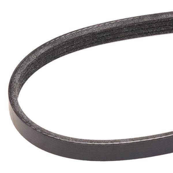 V-ribbed Belt