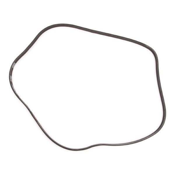 V-ribbed Belt