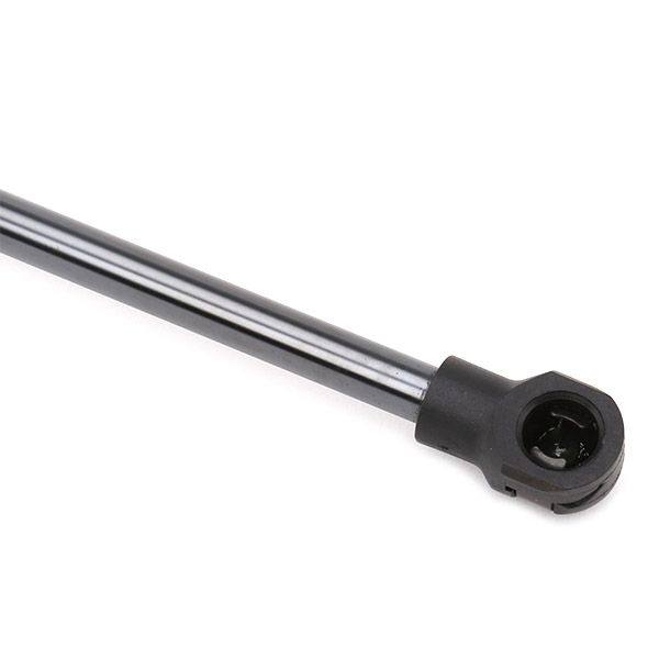 Gas Spring, boot/cargo area
