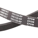 V-ribbed Belt
