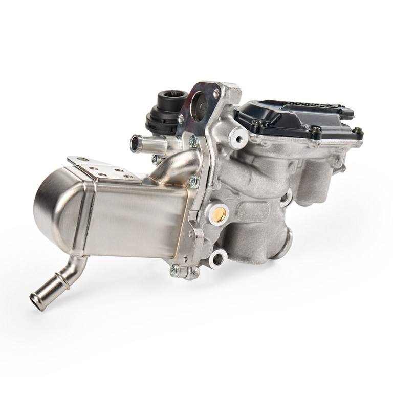 EGR Module