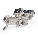 EGR Module