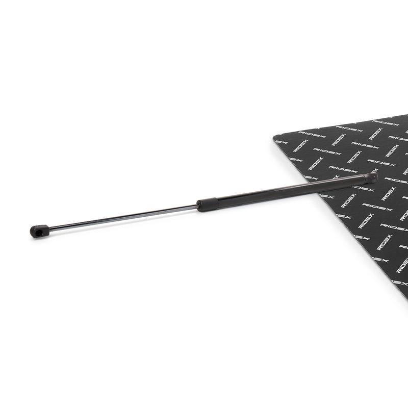 Gas Spring, boot/cargo area