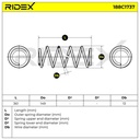 Suspension Spring
