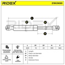Gas Spring, boot/cargo area