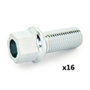 Wheel Bolt