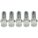 Wheel Bolt