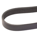 V-ribbed Belt
