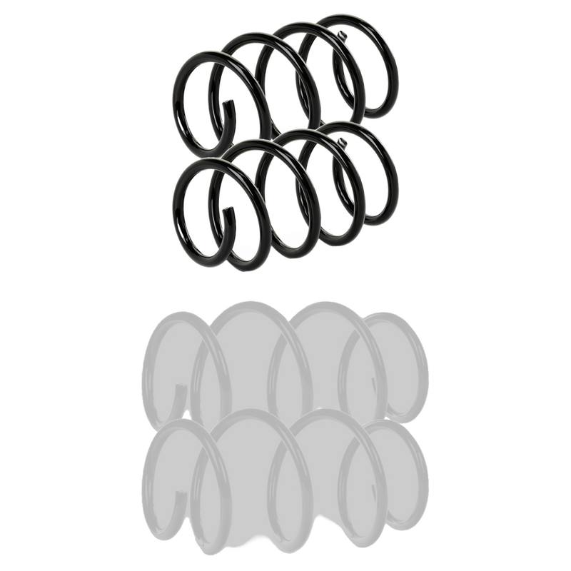 Suspension Set, springs