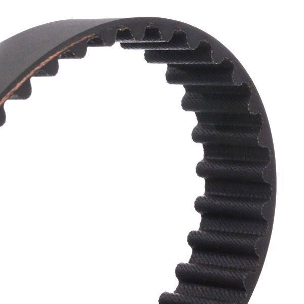 Timing Belt
