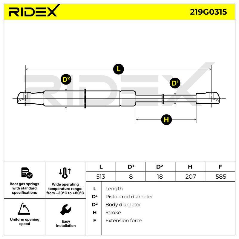 Gas Spring, boot/cargo area