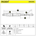 Gas Spring, boot/cargo area