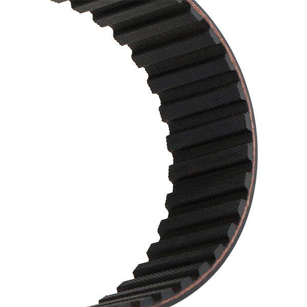 Timing Belt