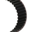 Timing Belt