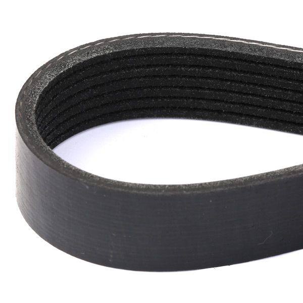 V-ribbed Belt