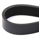 V-ribbed Belt