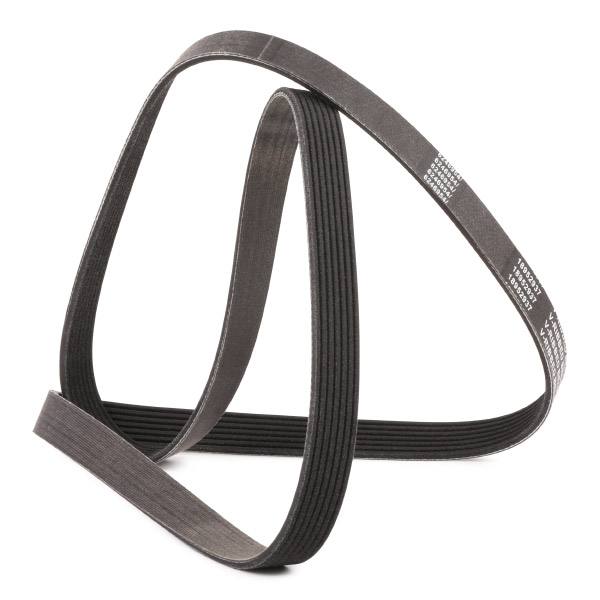 V-ribbed Belt