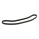Timing Belt