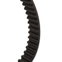 Timing Belt