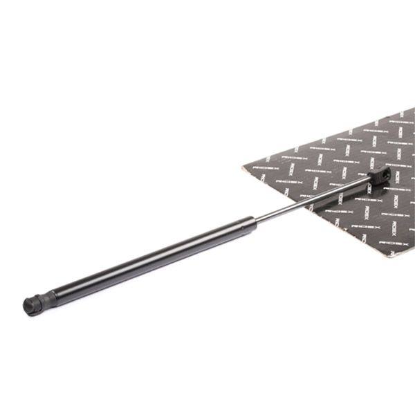 Gas Spring, boot/cargo area