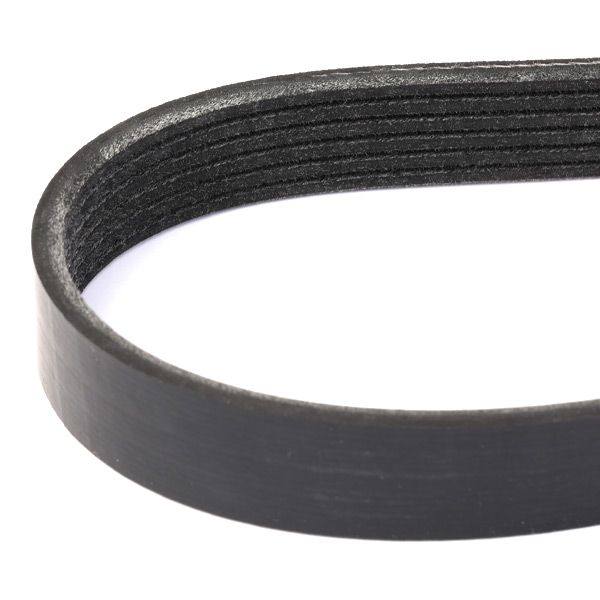 V-ribbed Belt