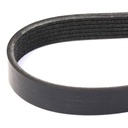 V-ribbed Belt