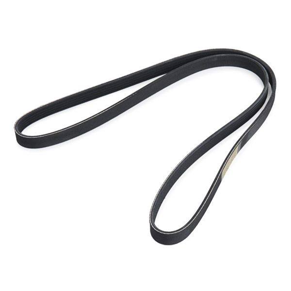 V-ribbed Belt