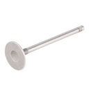 Intake Valve