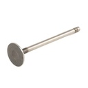 Exhaust Valve