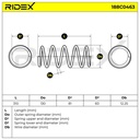 Suspension Spring