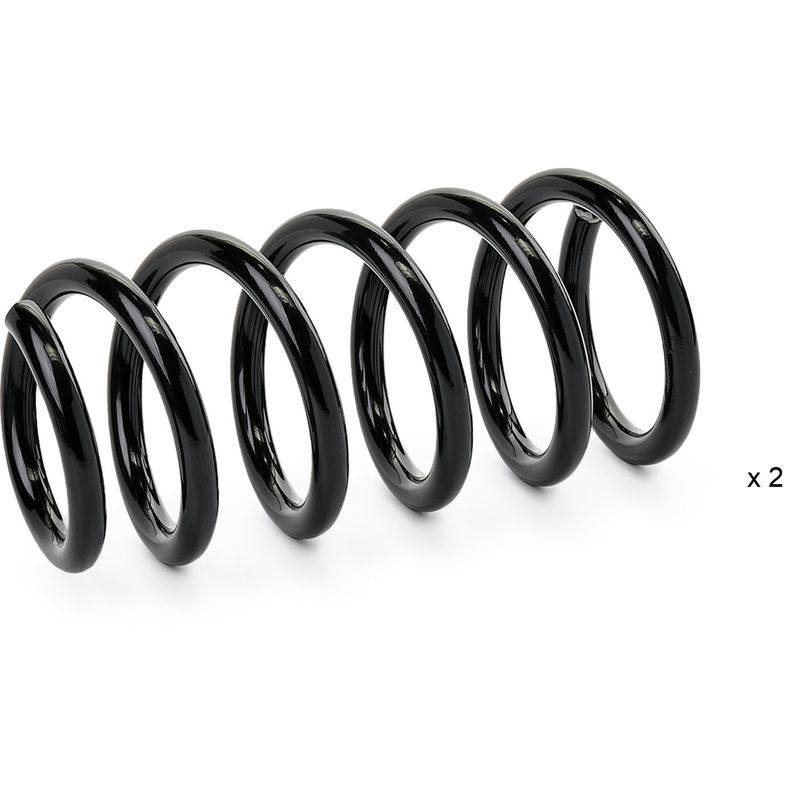 Suspension Spring