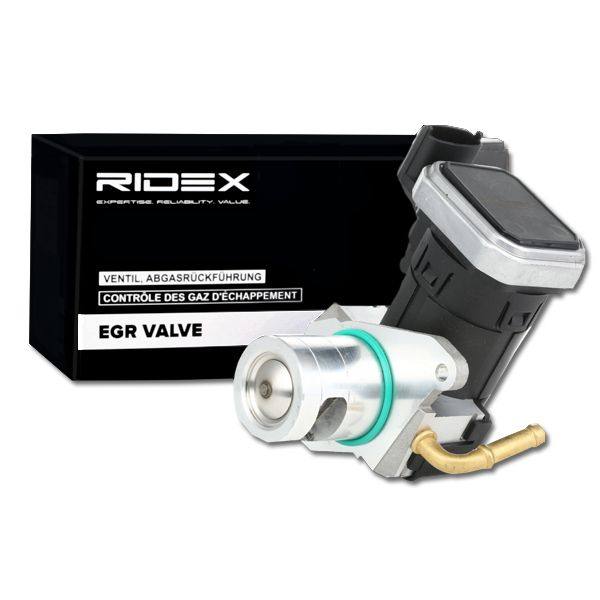 EGR Valve
