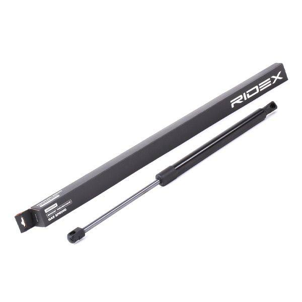 Gas Spring, boot/cargo area