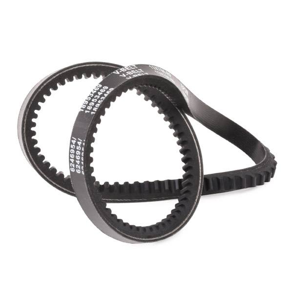 V-Belt