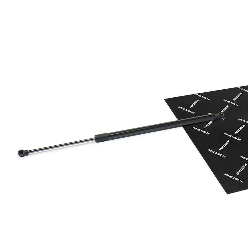 Gas Spring, boot/cargo area