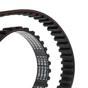 Timing Belt