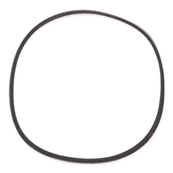 V-ribbed Belt