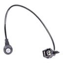 Knock Sensor
