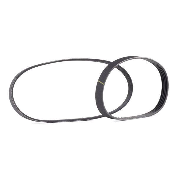 V-ribbed Belt Set