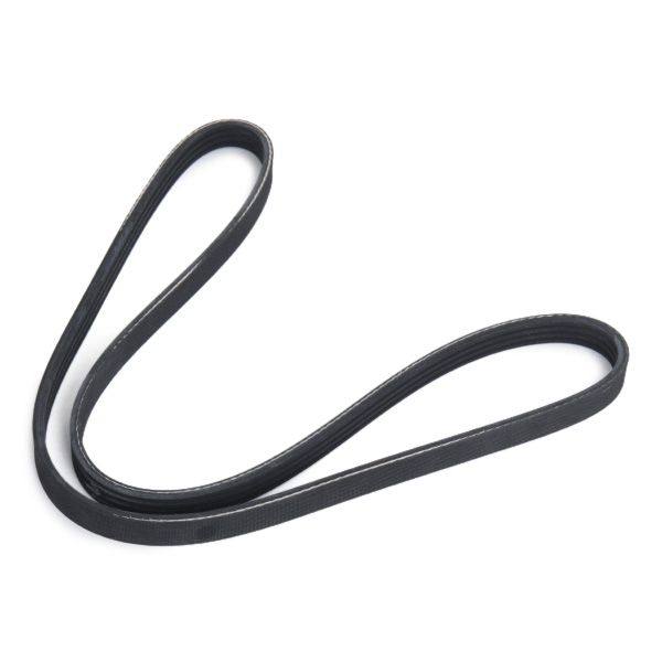 V-ribbed Belt